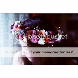 photo cats_zps6dfc9c62.jpg