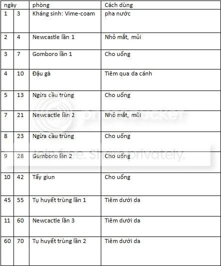 Nhờ mọi người tư vấn giúp lịch vacxin cho gà