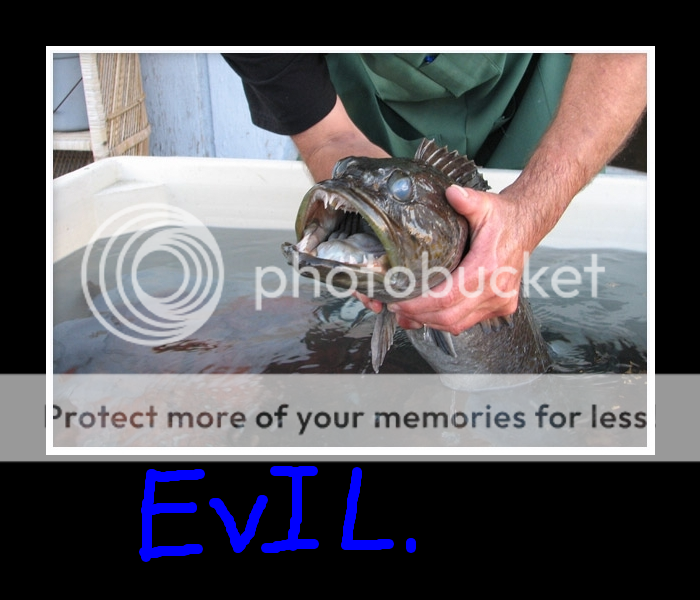 http://i1324.photobucket.com/albums/u612/Brian_Garrahan/evilcodfish_zpsff491700.png