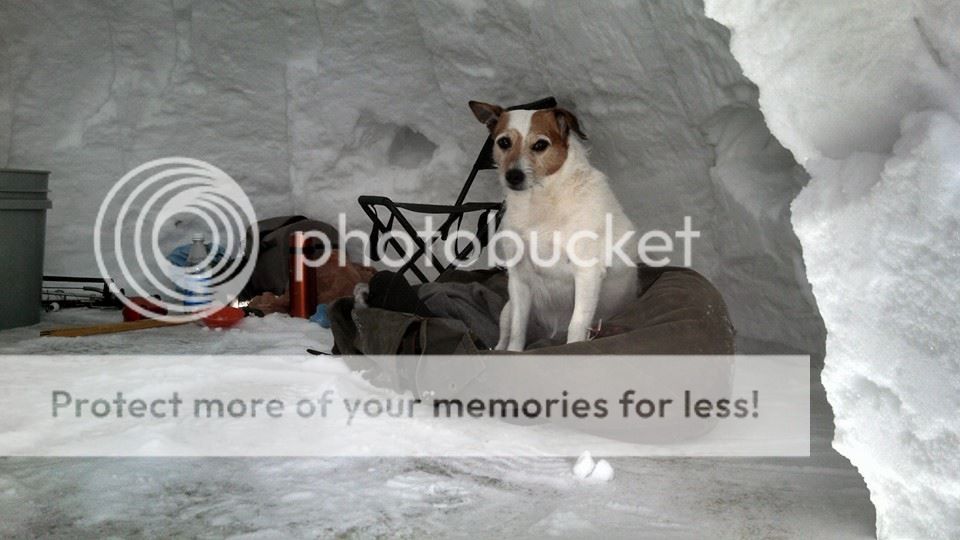 UserPostedImage