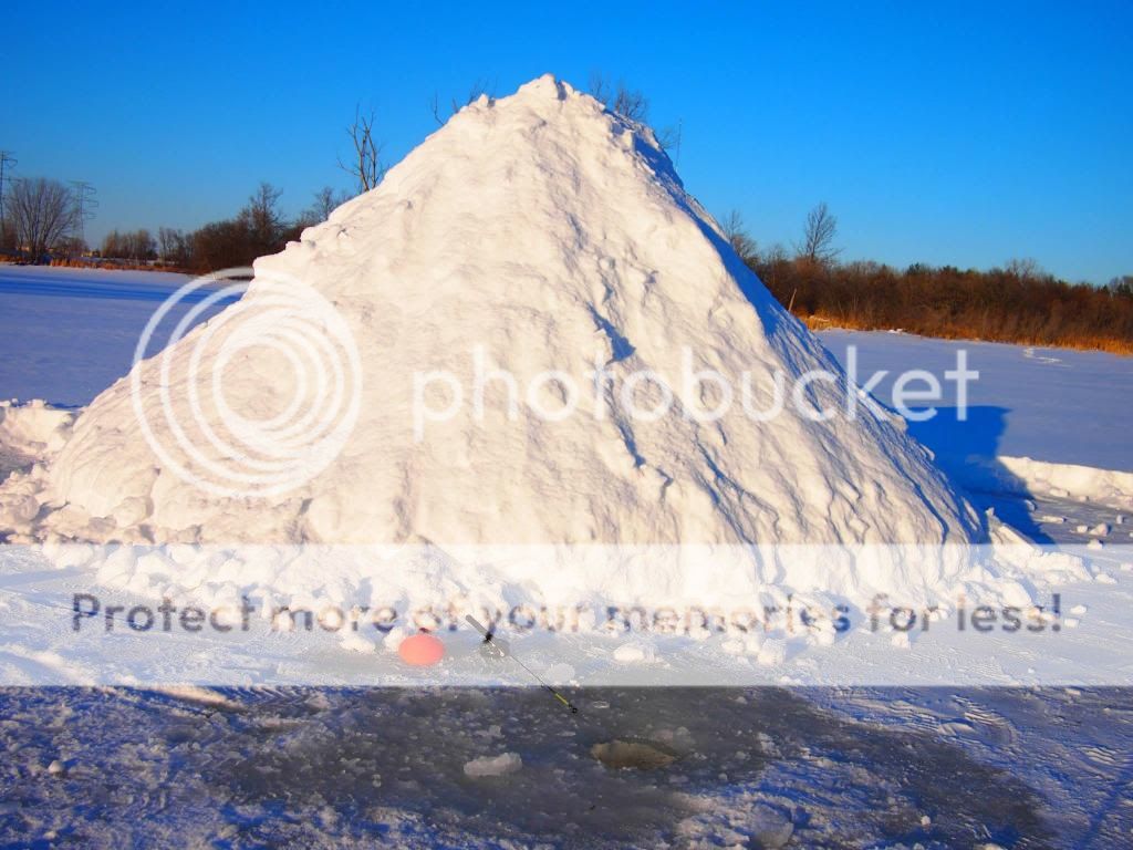 UserPostedImage