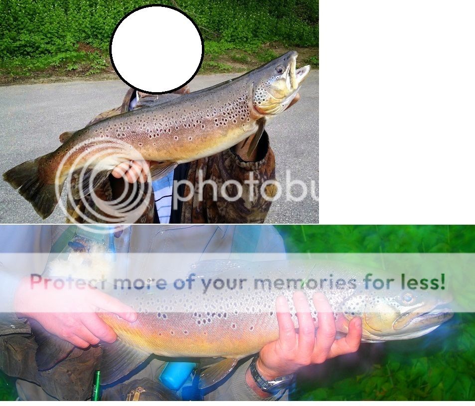 UserPostedImage
