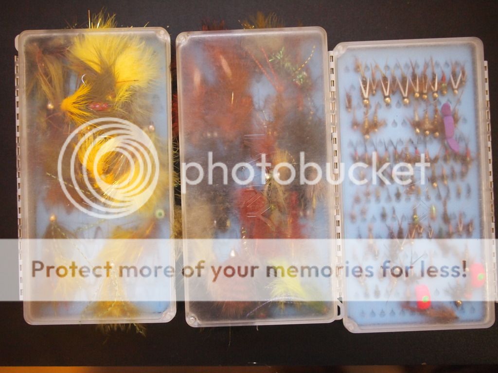 UserPostedImage