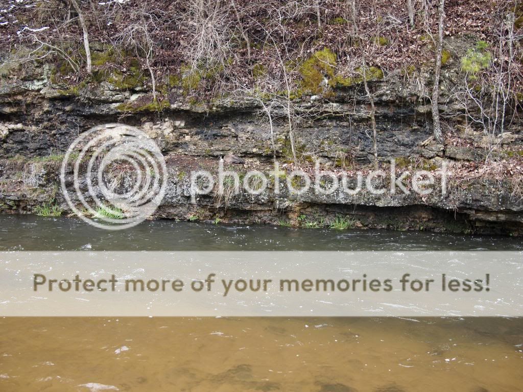 UserPostedImage