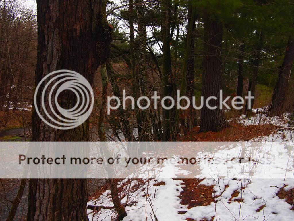 UserPostedImage