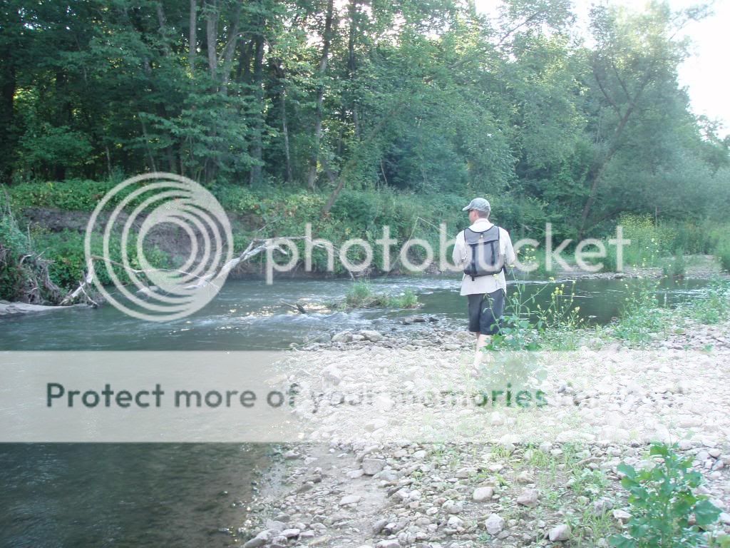 UserPostedImage