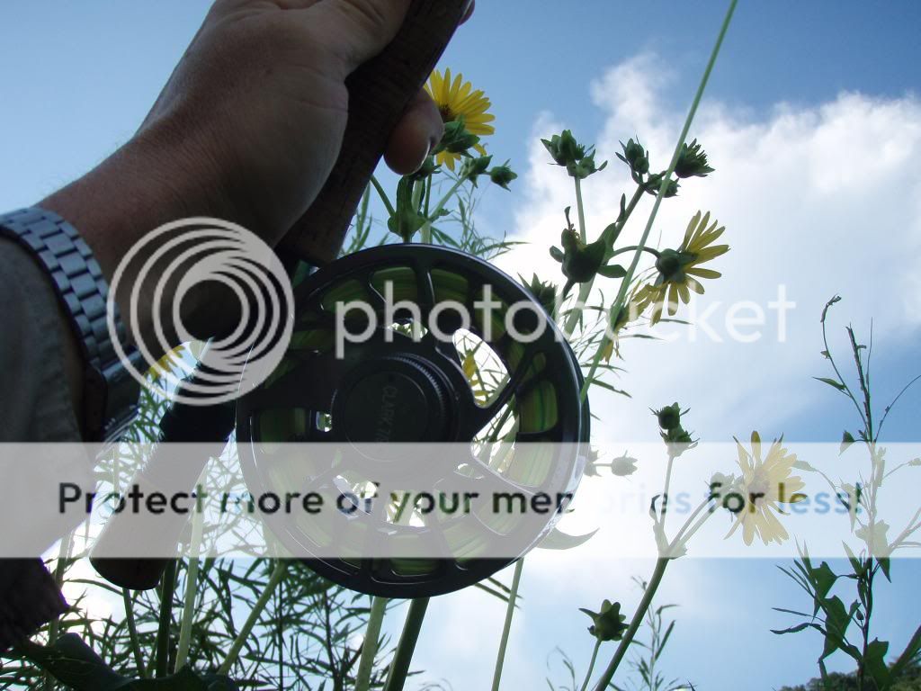 UserPostedImage