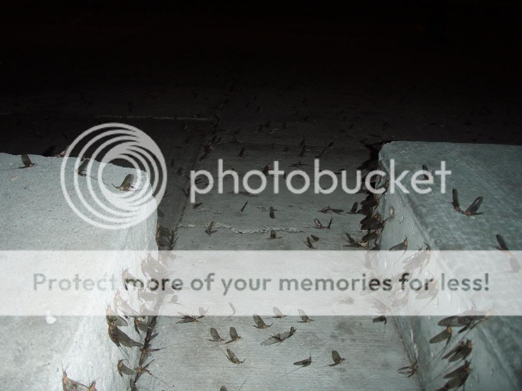 UserPostedImage