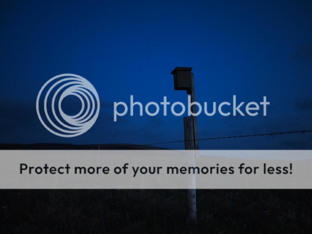 UserPostedImage