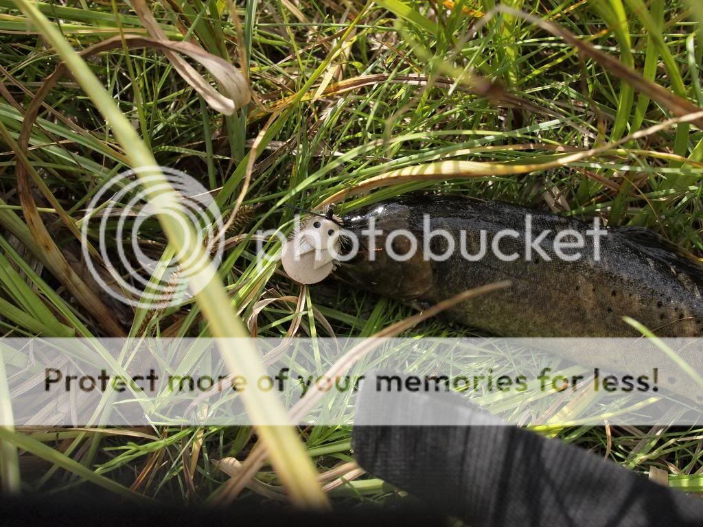 UserPostedImage