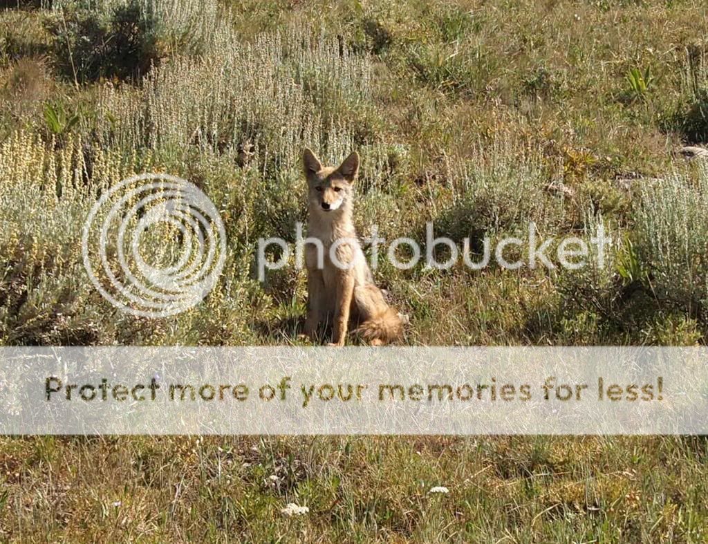 UserPostedImage