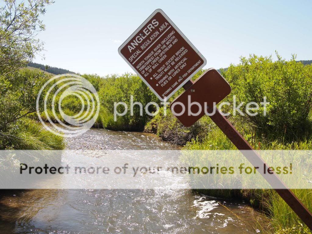 UserPostedImage