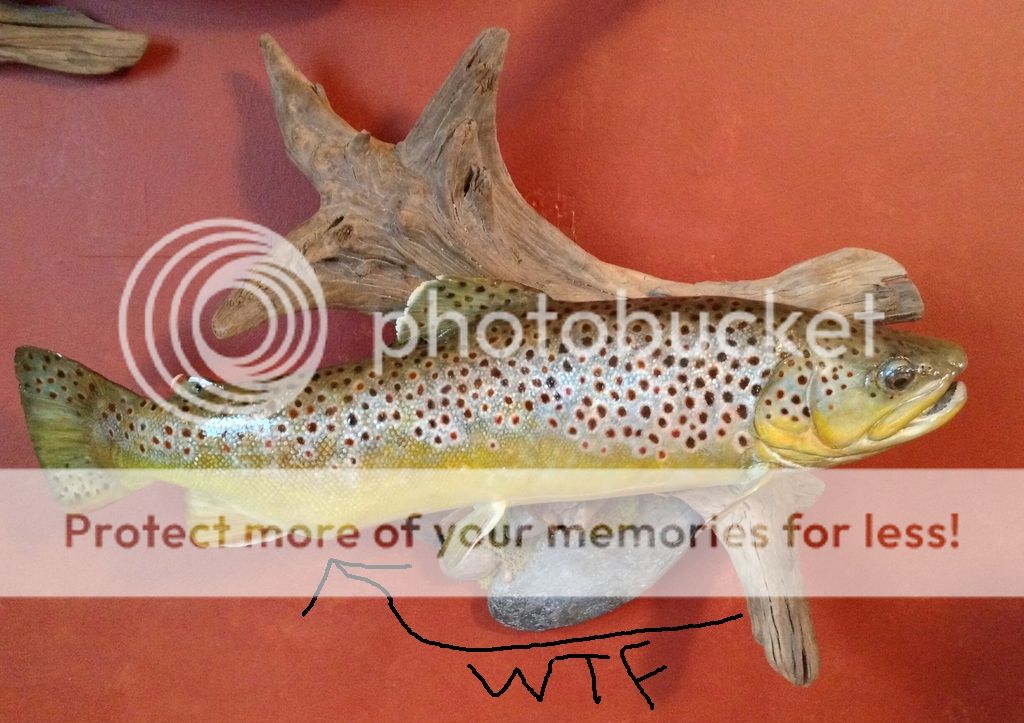 UserPostedImage