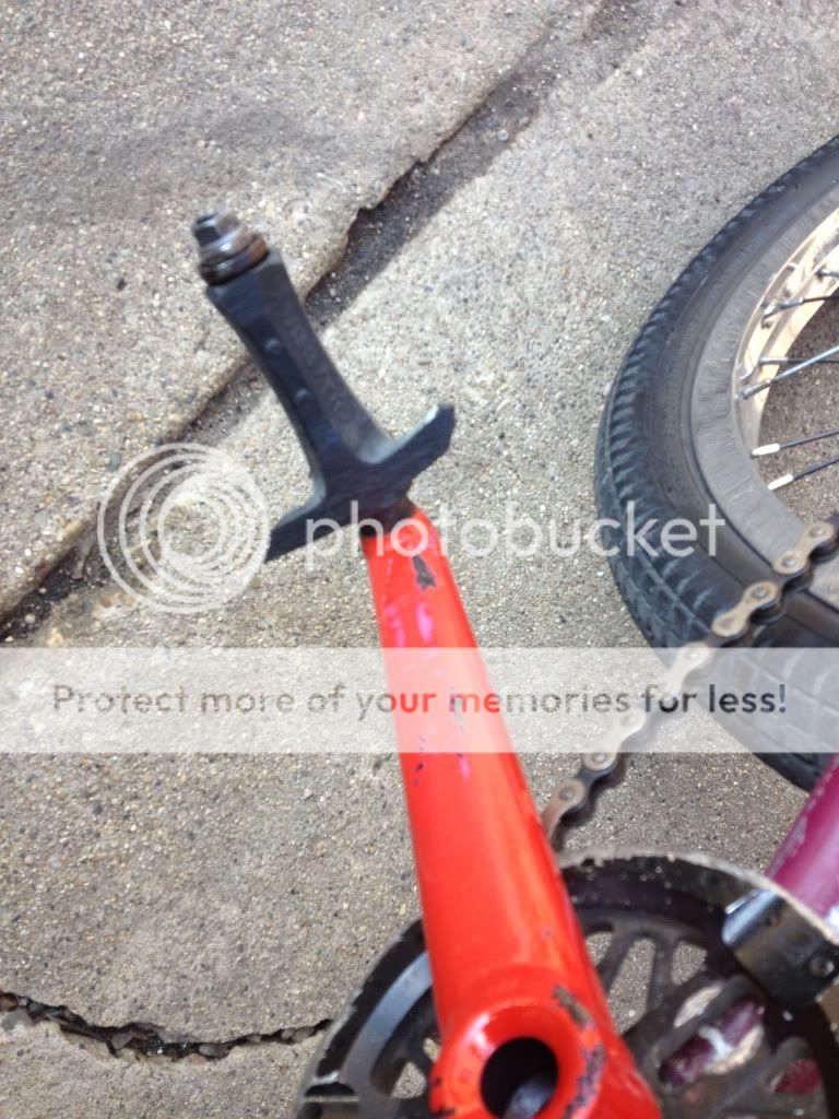Photobucket Pictures, Images and Photos