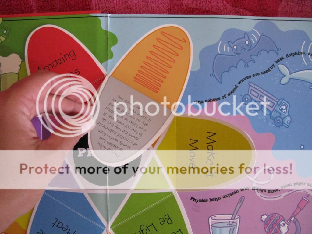 photo IMG_7668_zps259dea31.jpg